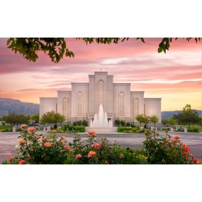 Albuquerque New Mexico Temple Recommend Holder